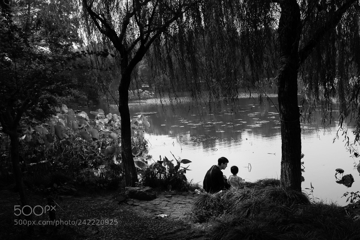 Fujifilm X-T1 sample photo. A fresh morning by photography