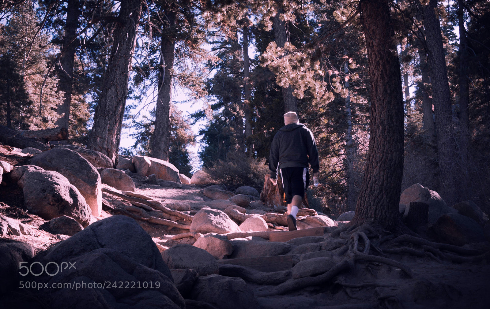 Sony SLT-A57 sample photo. “rocky paths” photography