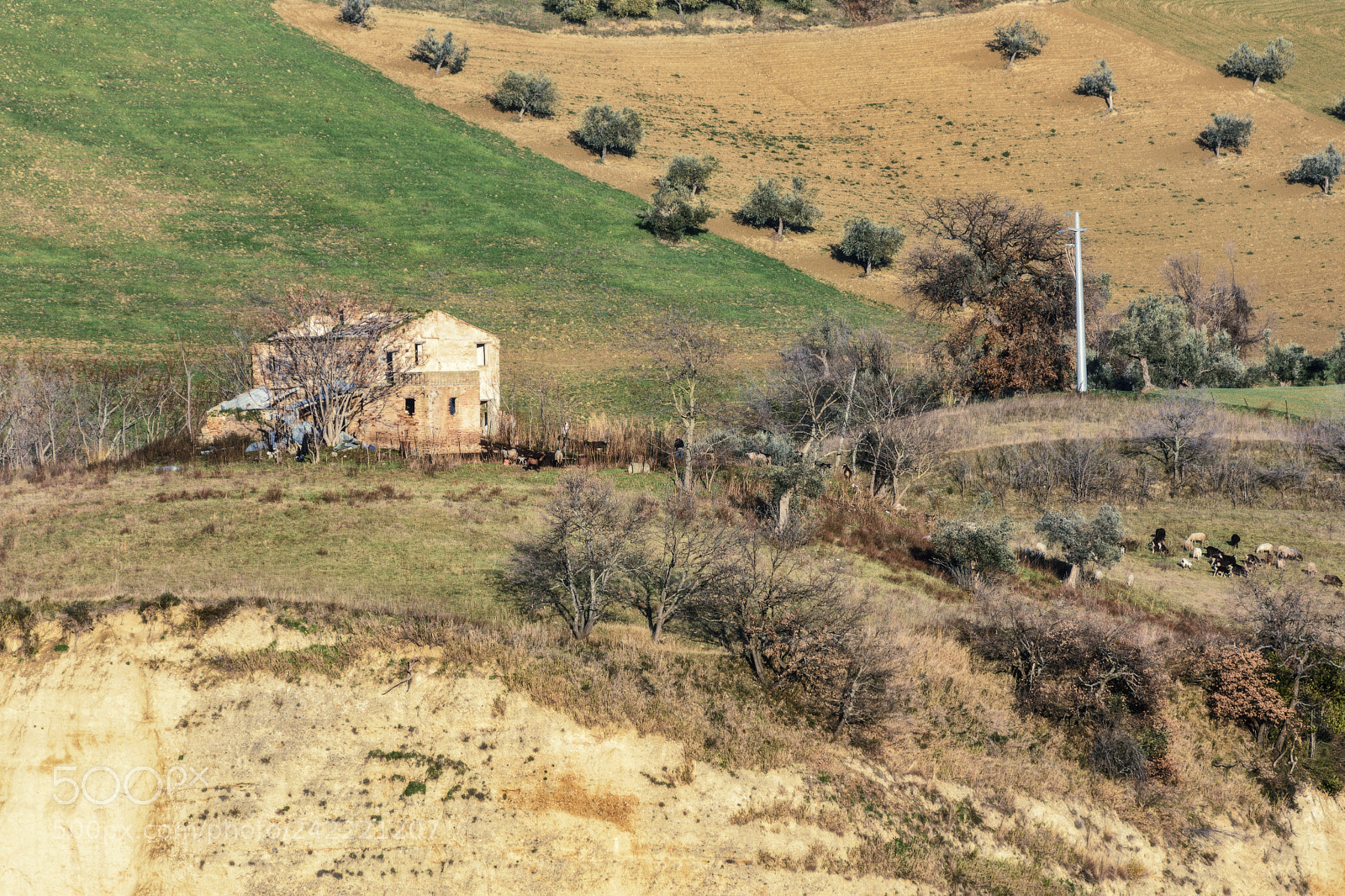 Nikon D7200 sample photo. Cottage not completely abandoned. photography