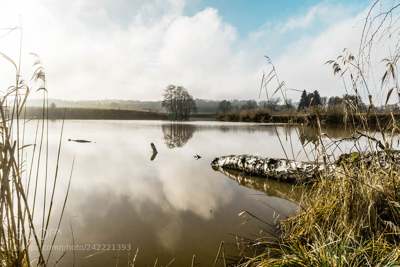 Sony a7 sample photo. Frieden photography
