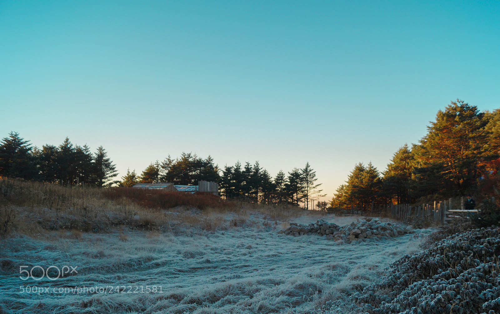 Sony SLT-A58 sample photo. Sunrise photography