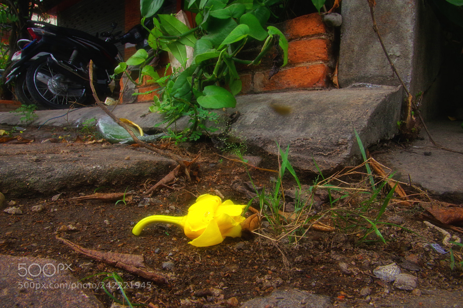 Pentax K-3 sample photo. Chiang mai photography
