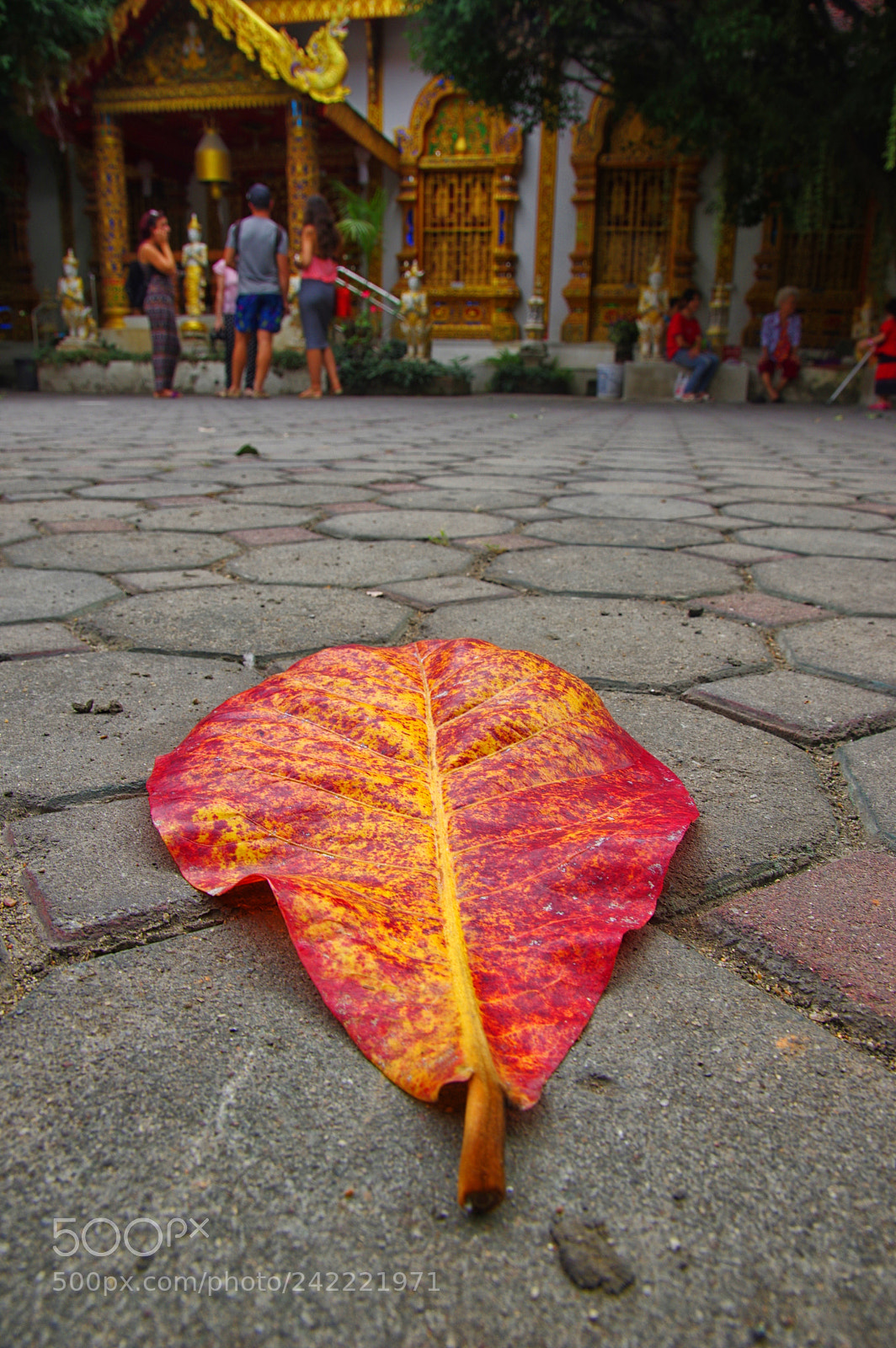 Pentax K-3 sample photo. Chiang mai photography