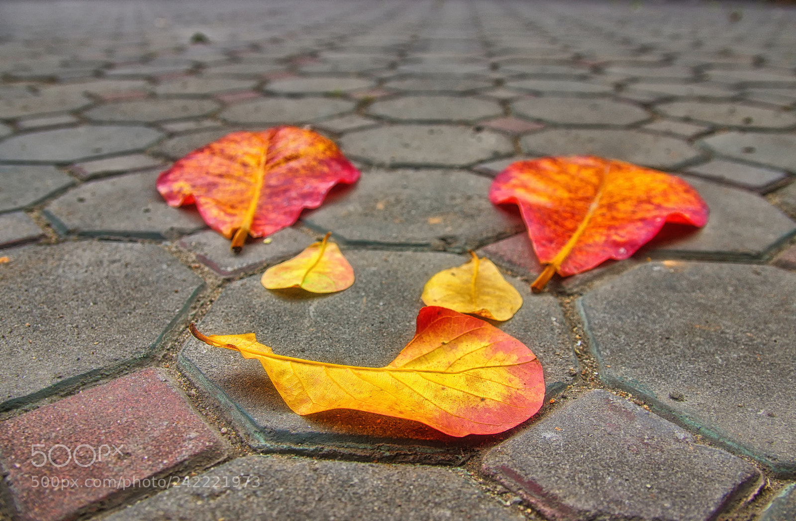 Pentax K-3 sample photo. Chiang mai photography