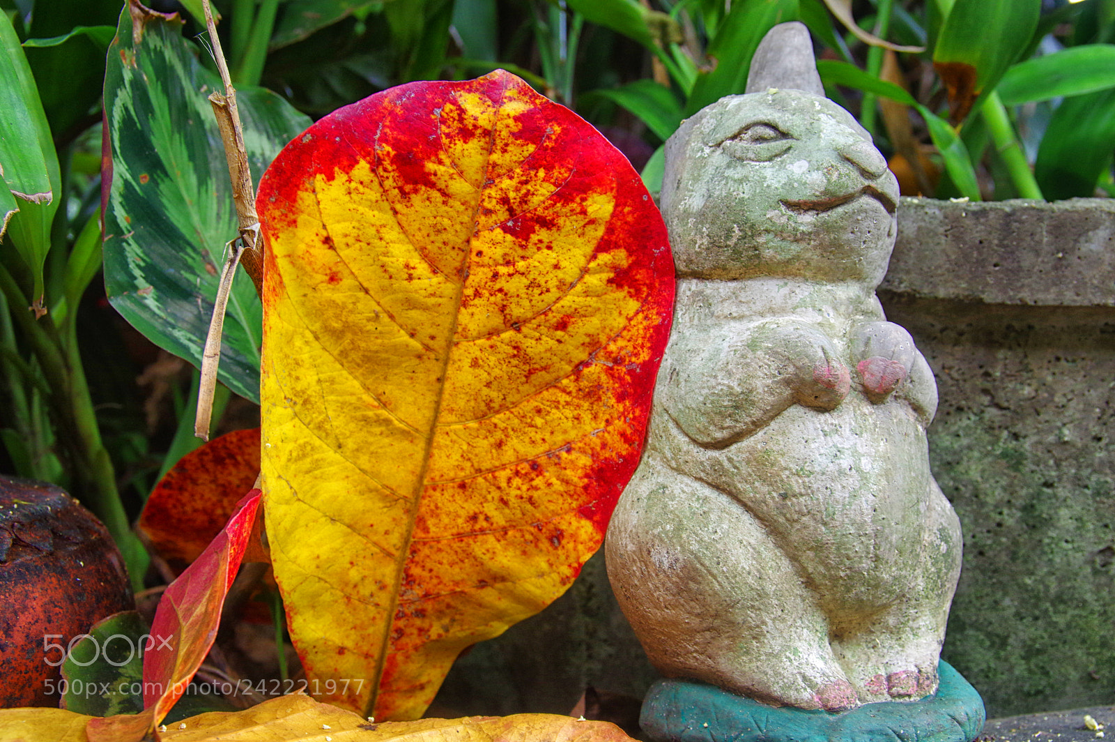 Pentax K-3 sample photo. Chiang mai photography