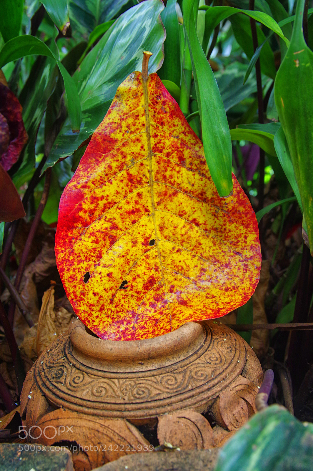 Pentax K-3 sample photo. Chiang mai photography