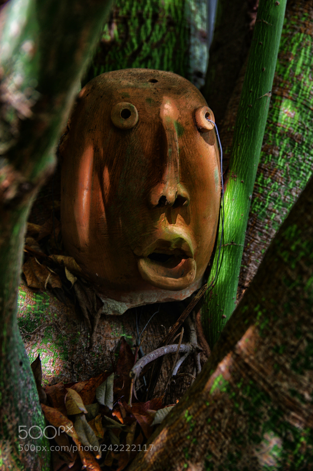 Pentax K-3 sample photo. Chiang mai photography