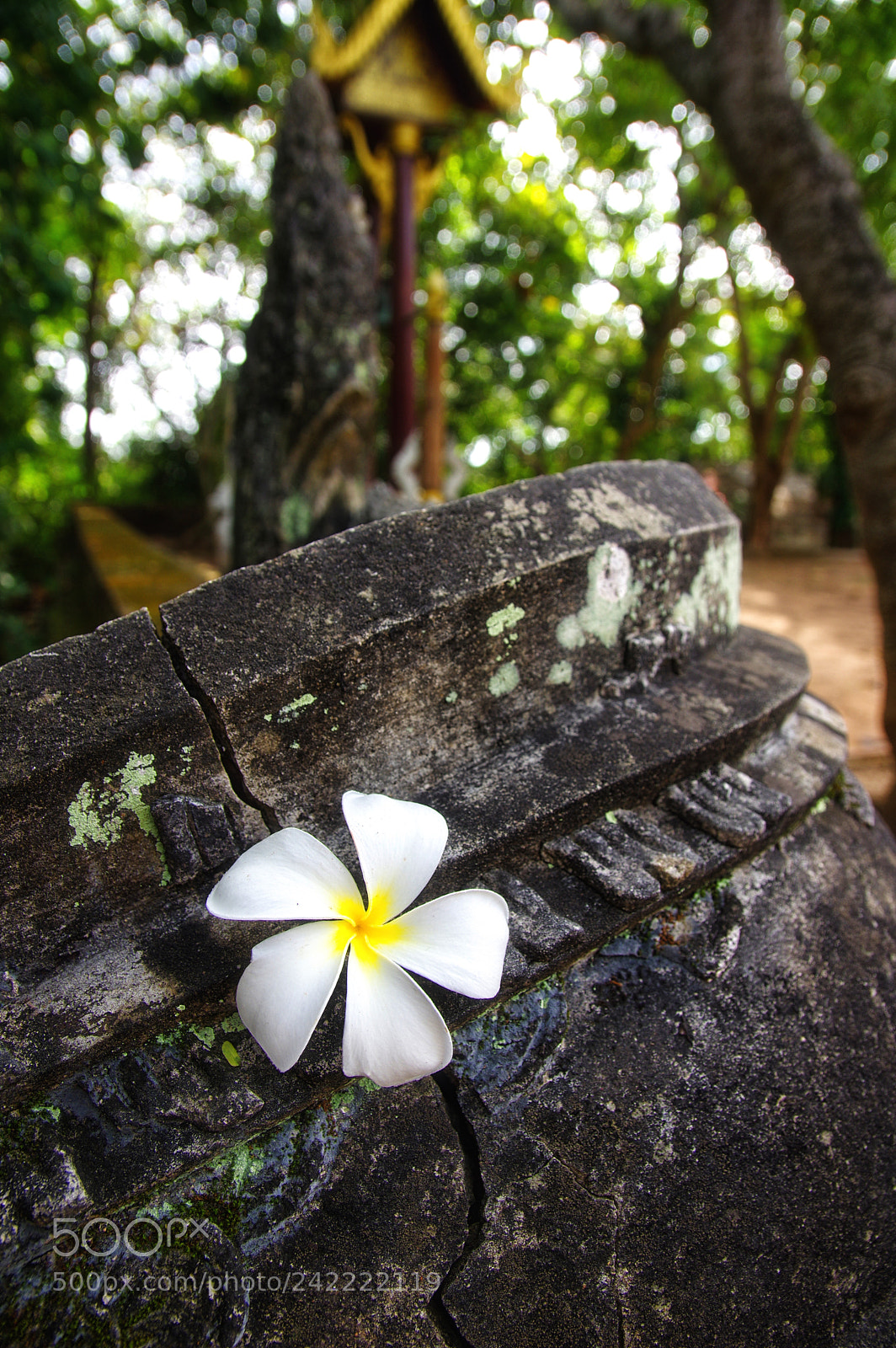 Pentax K-3 sample photo. Chiang mai photography