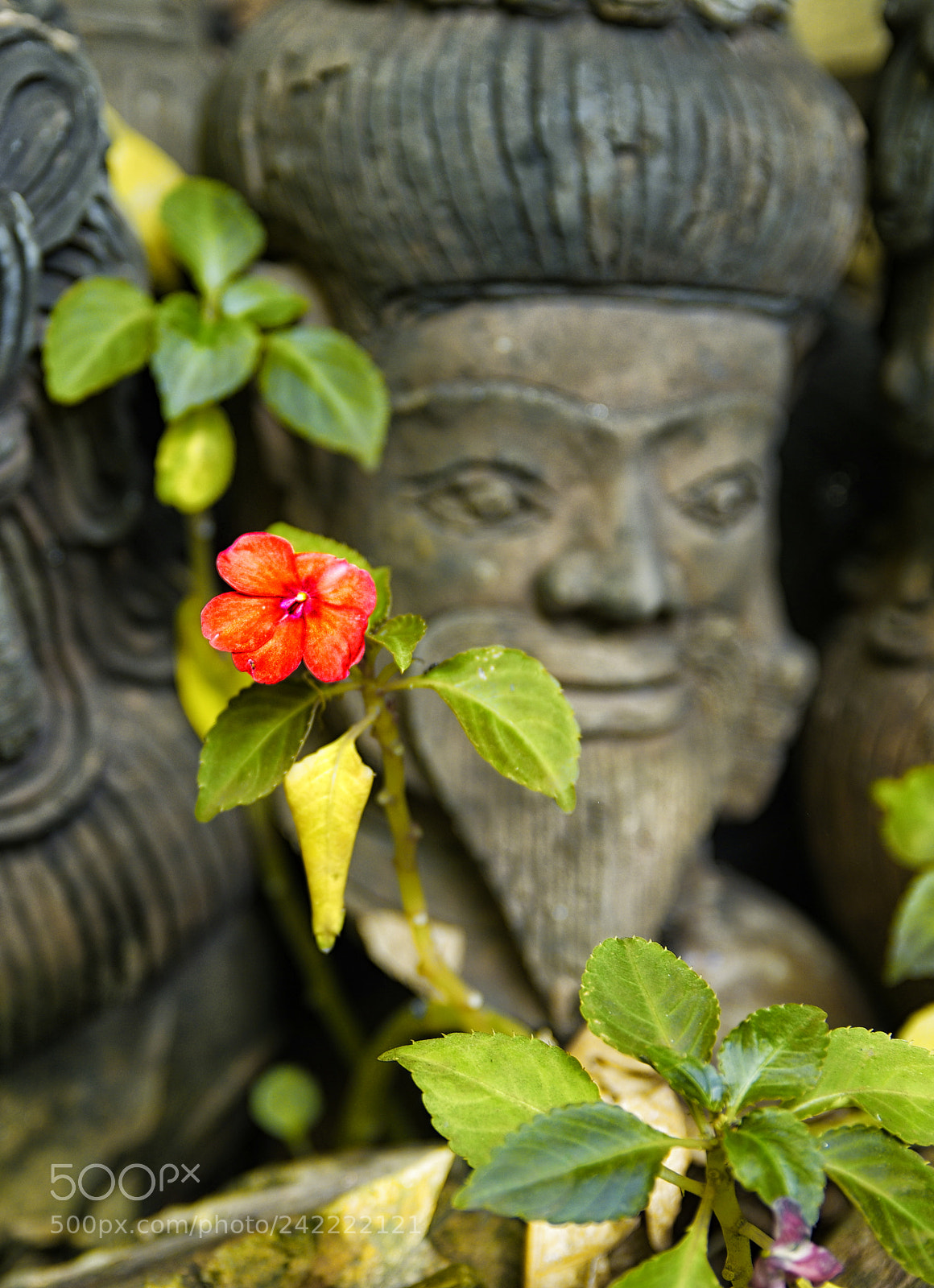 Pentax K-3 sample photo. Chiang mai photography