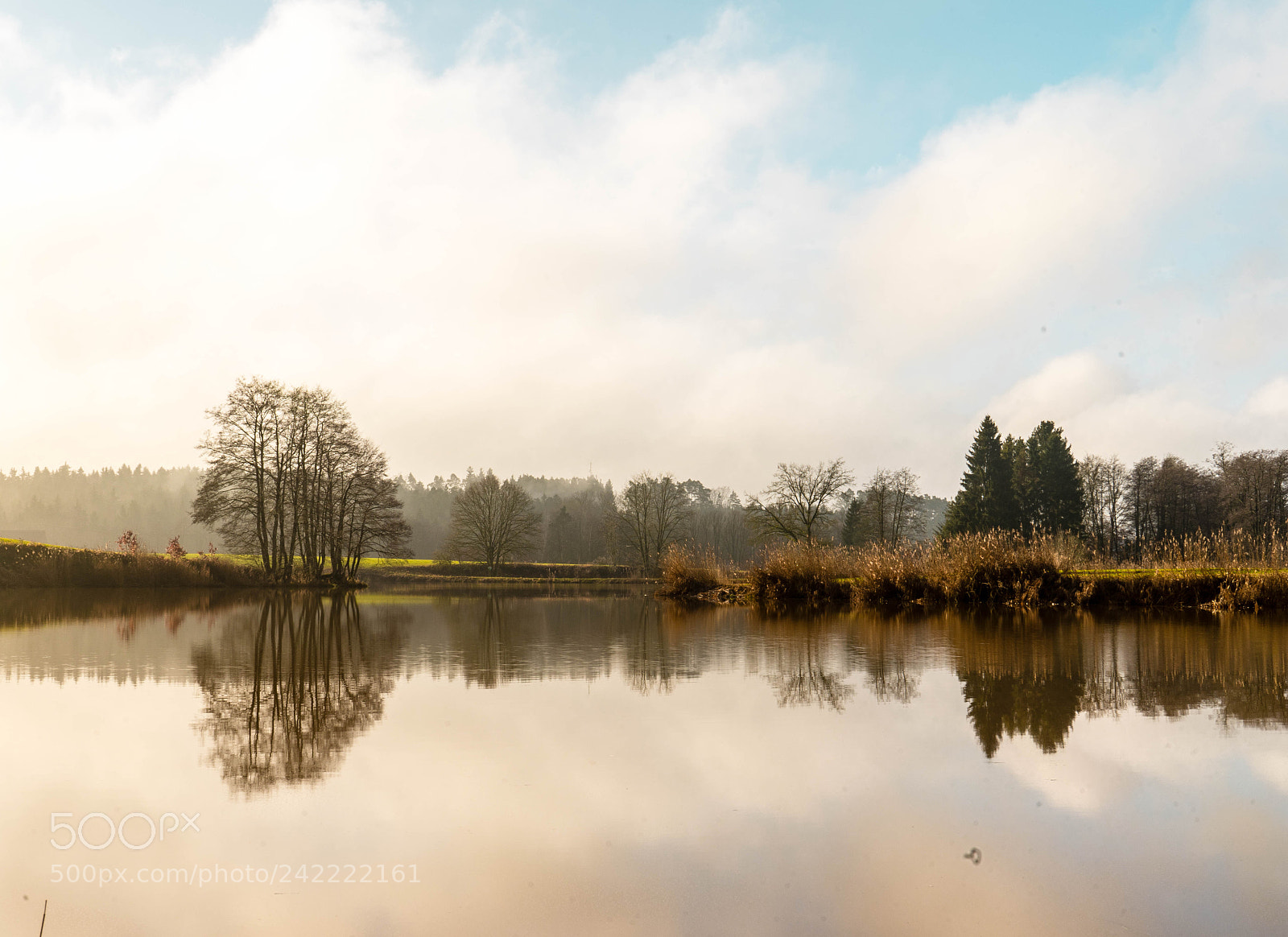 Sony a7 sample photo. Hier in der nachbarschaft photography