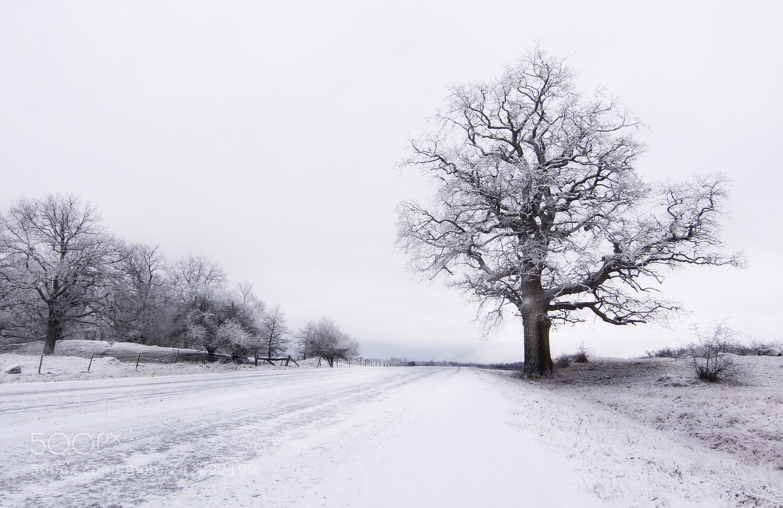 Canon EOS 50D sample photo. Winter landscape photography