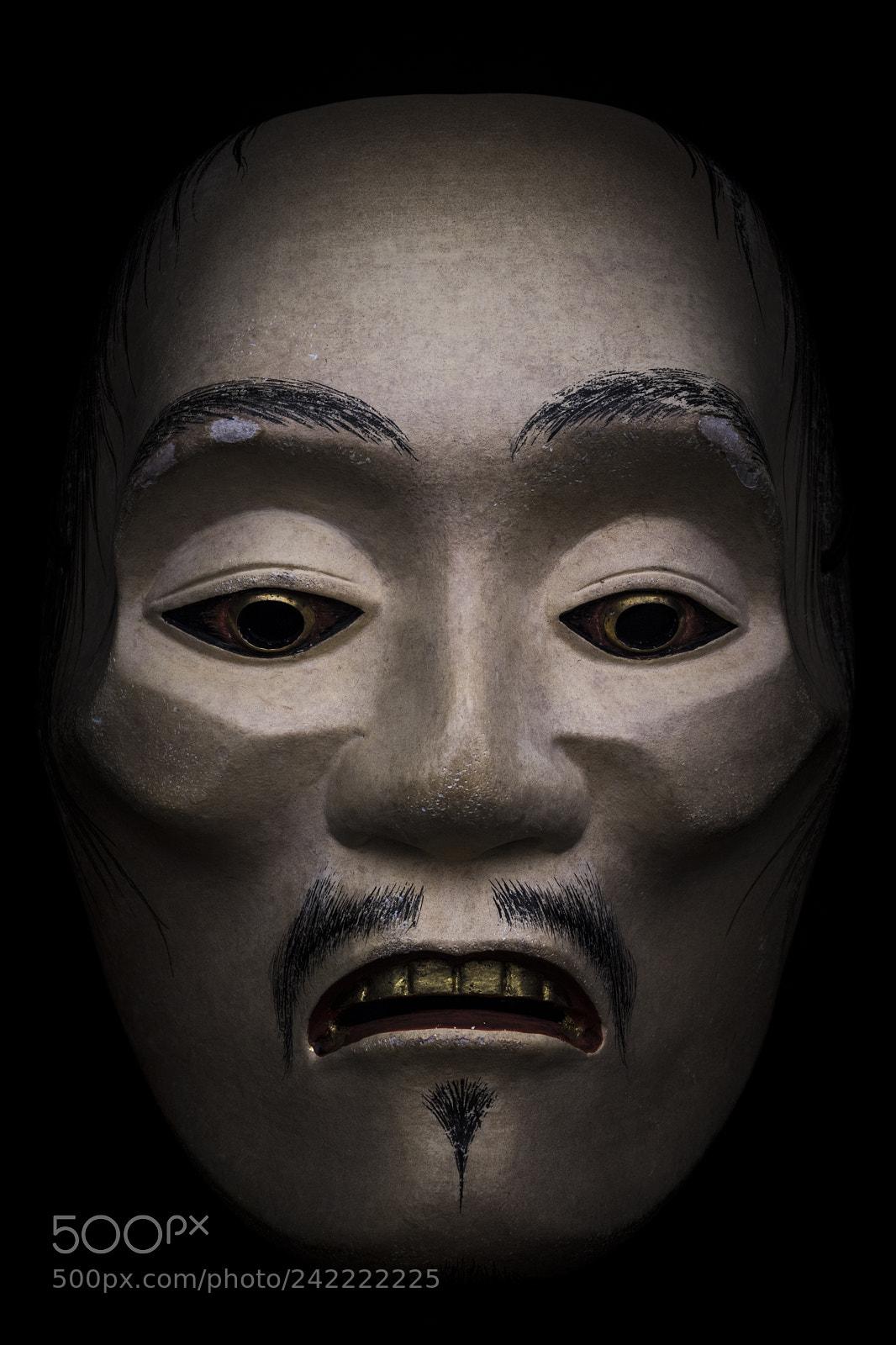 Nikon D5 sample photo. 痩男 photography