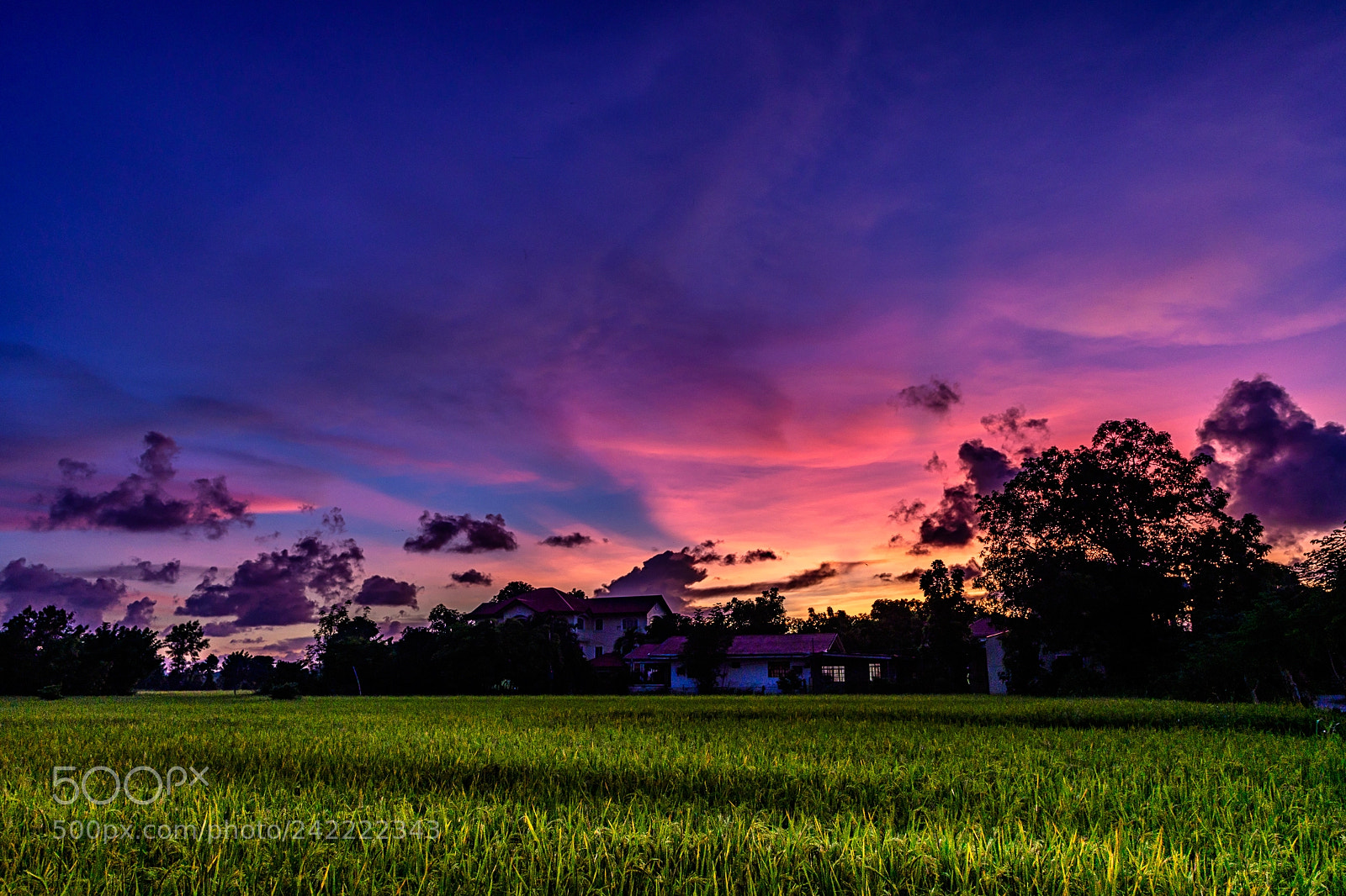Nikon D500 sample photo. Vigan sunset photography