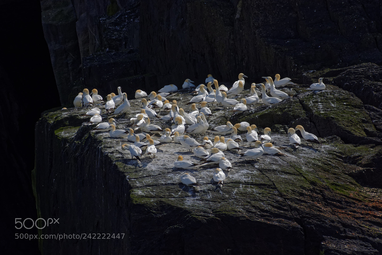 Nikon D7200 sample photo. Sud ouest iveragh skellig photography