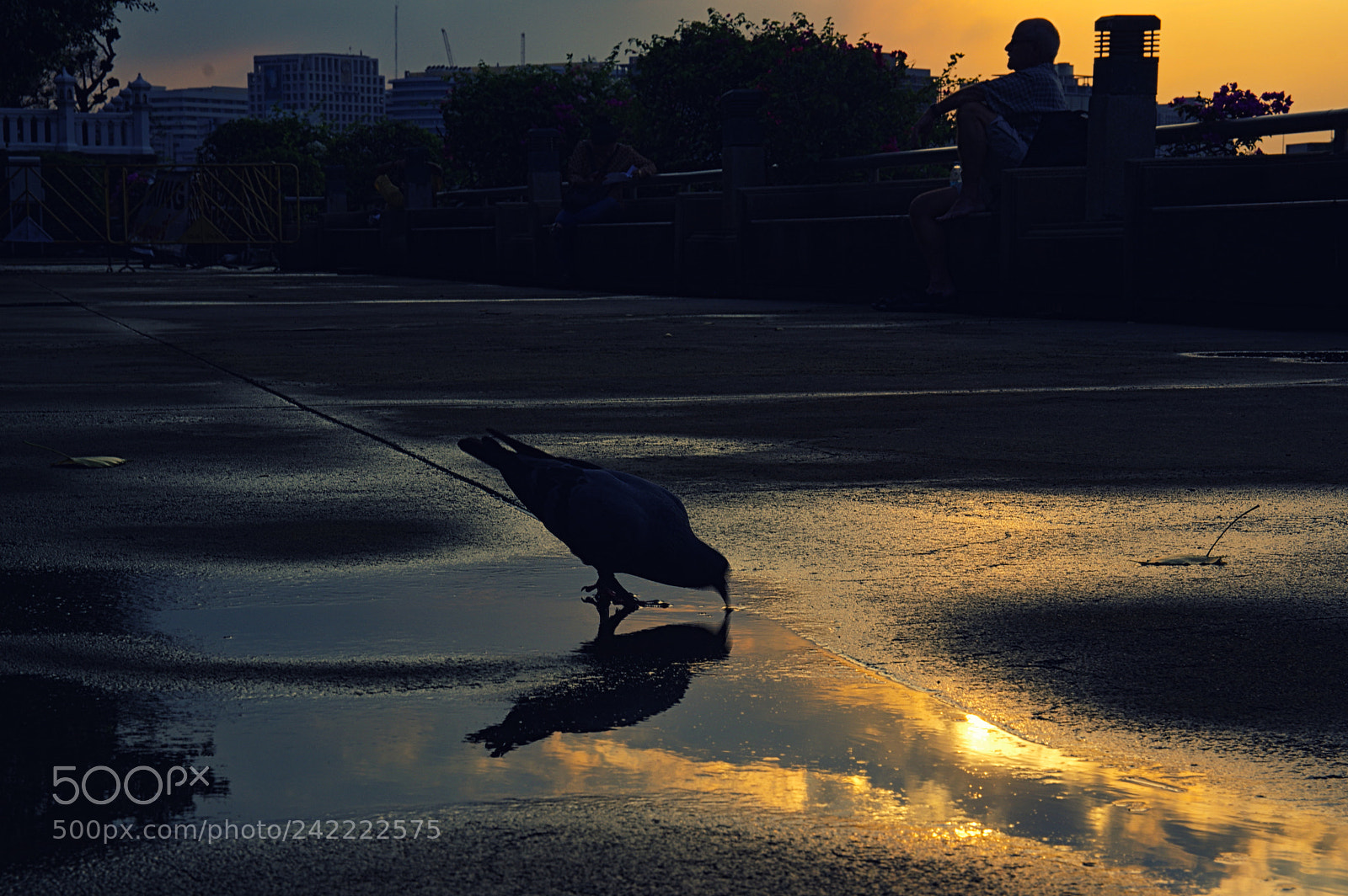 Pentax K-3 sample photo. Morning in thailand photography