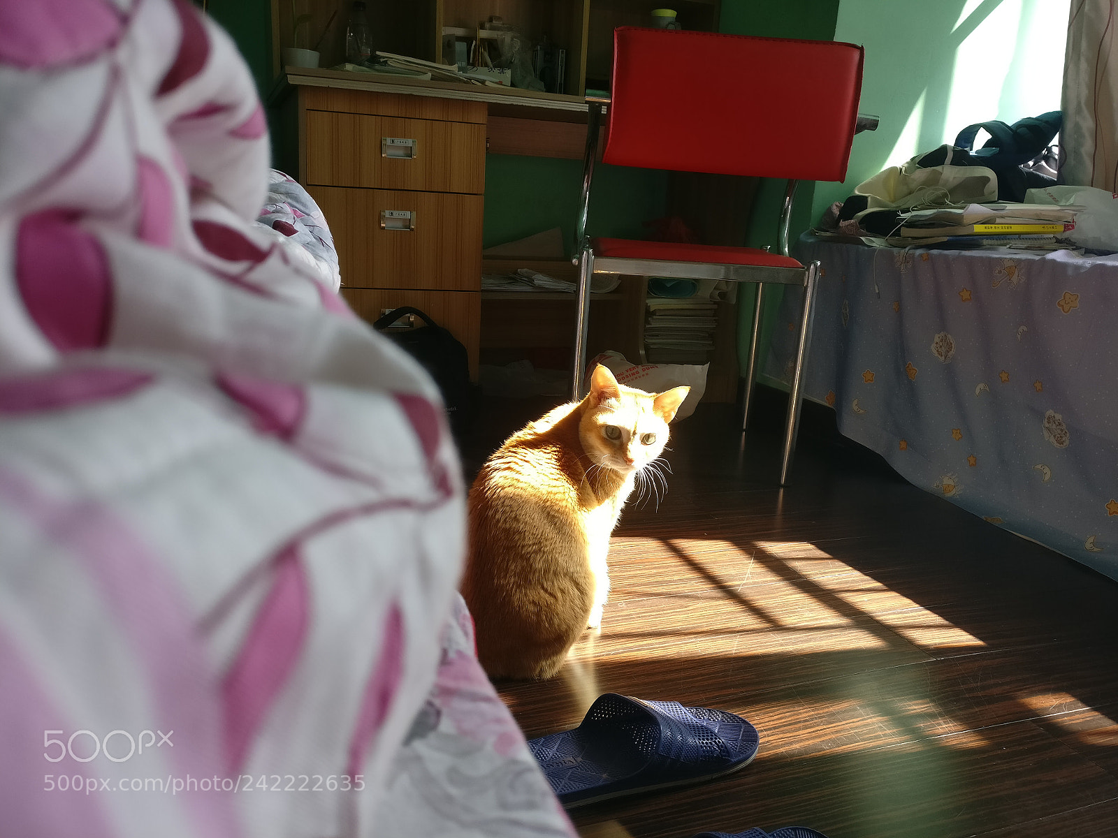 OnePlus A3010 sample photo. Untitled photography