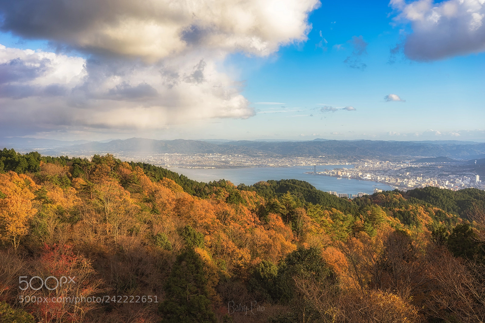 Sony a7 II sample photo. 编辑——网络输出 photography