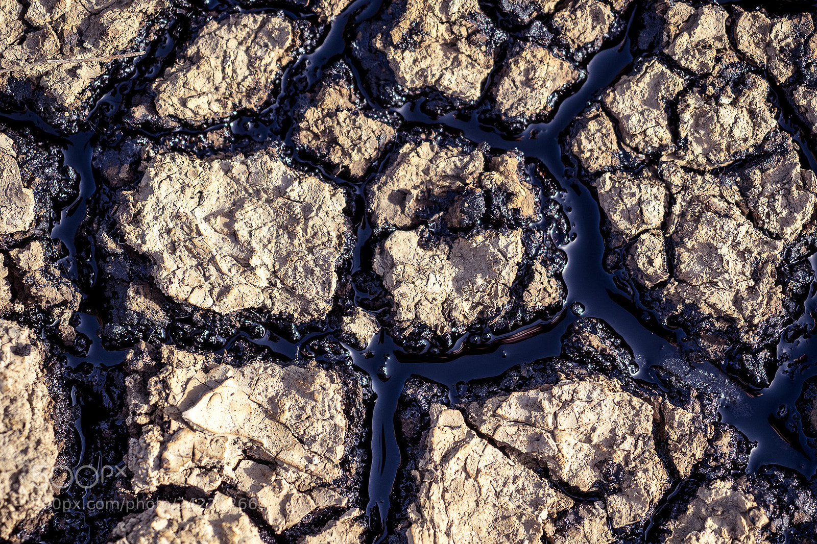Olympus OM-D E-M1 sample photo. Oil leaking thru the photography