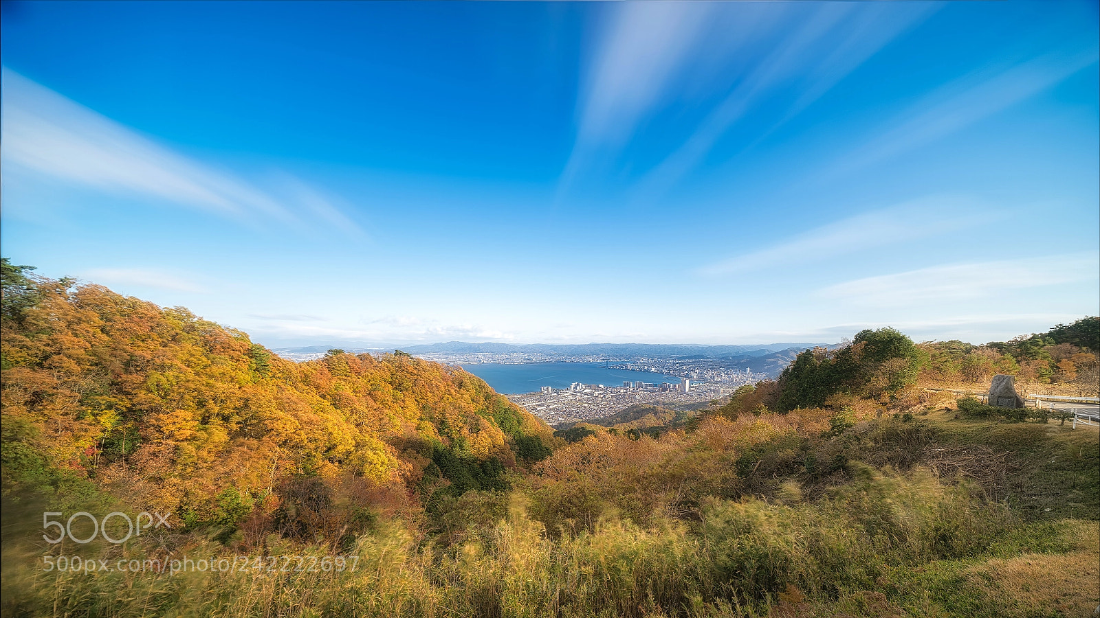 Sony a7 II sample photo. 编辑——网络输出 photography