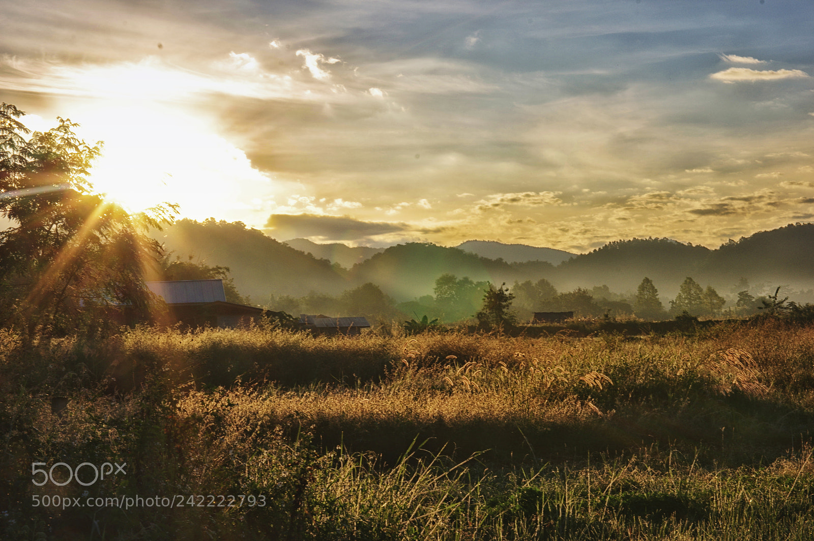 Pentax K-3 sample photo. Morning in thailand photography
