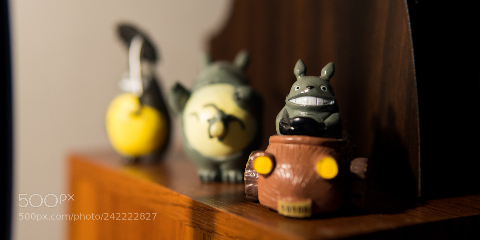 Sony a6300 sample photo. Dsc photography