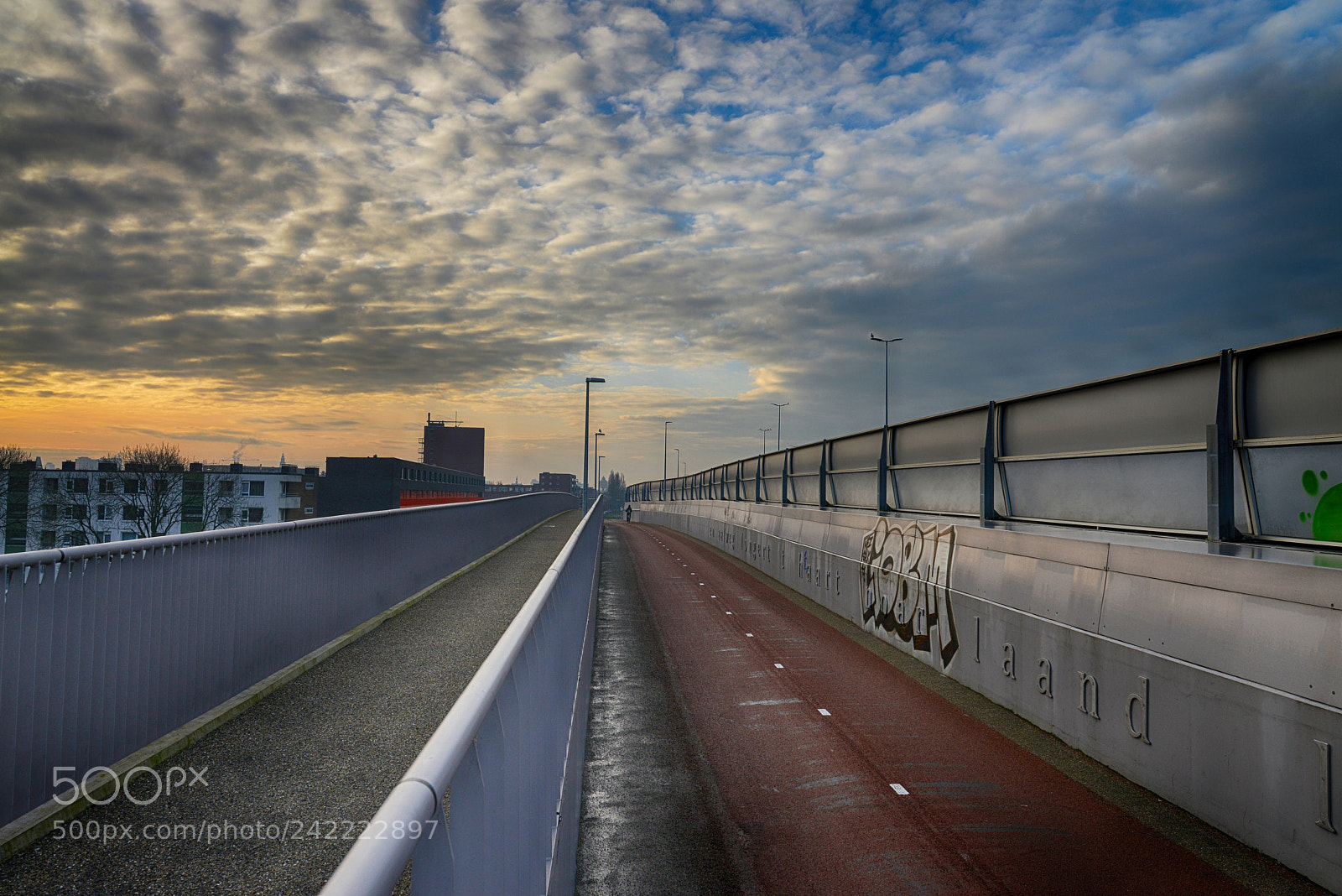 Nikon D800 sample photo. A walk to the photography