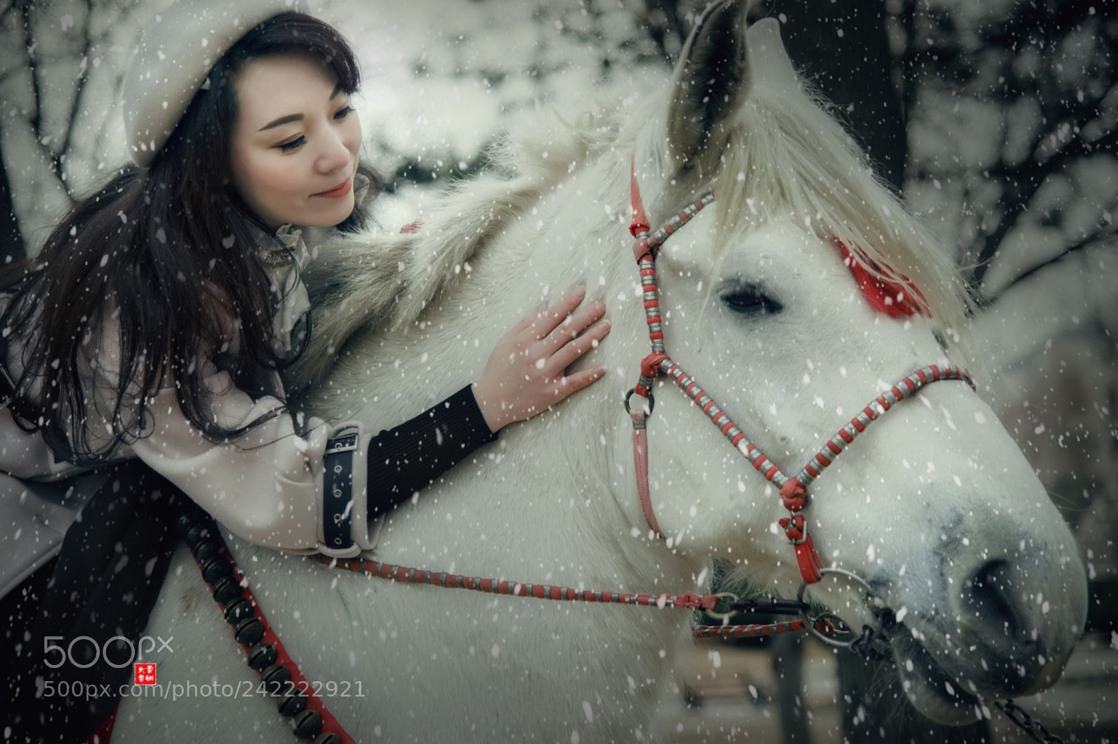 Nikon Df sample photo. Untitled photography