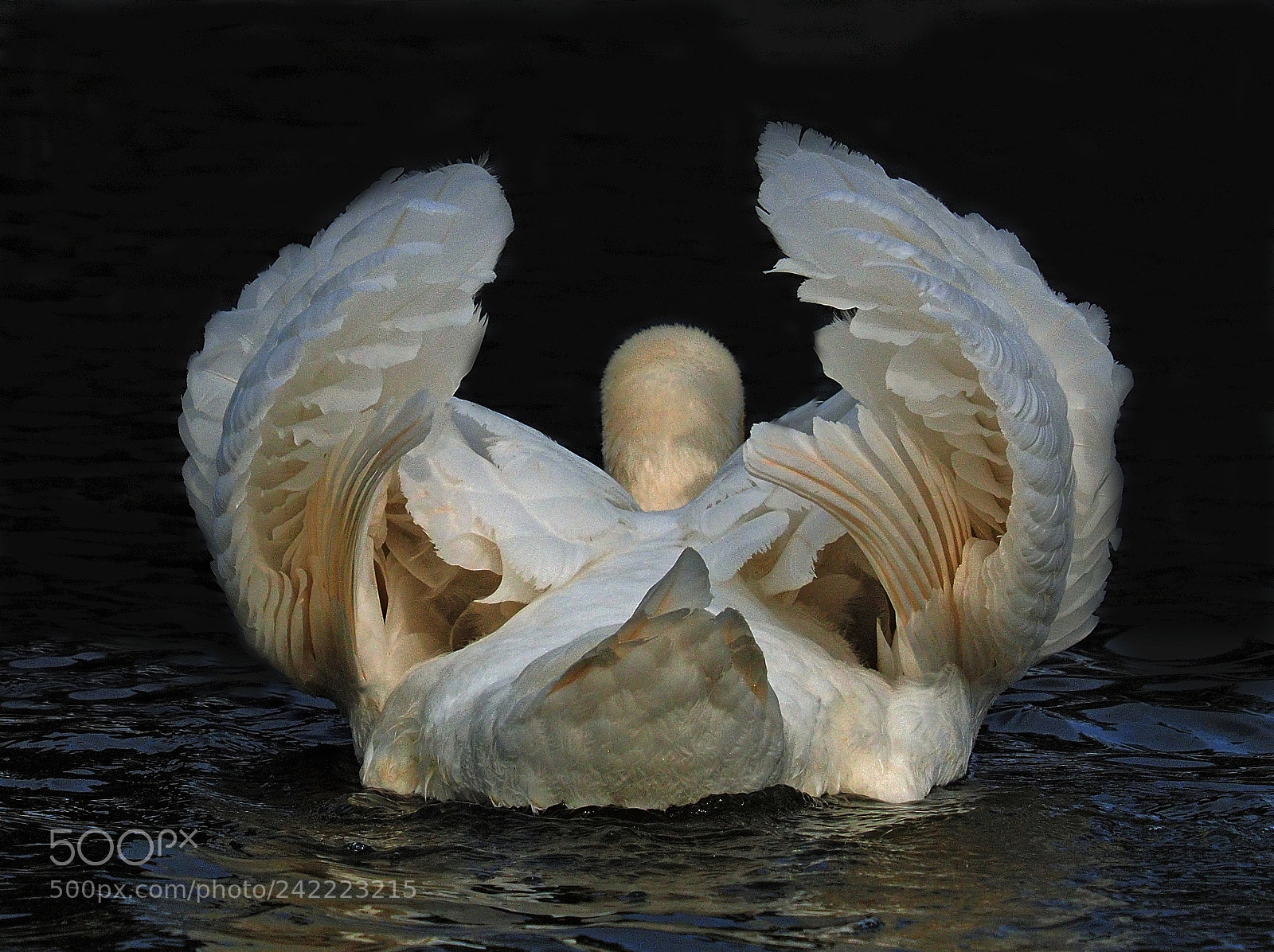 Olympus OM-D E-M1 sample photo. Nature's sculptured art photography