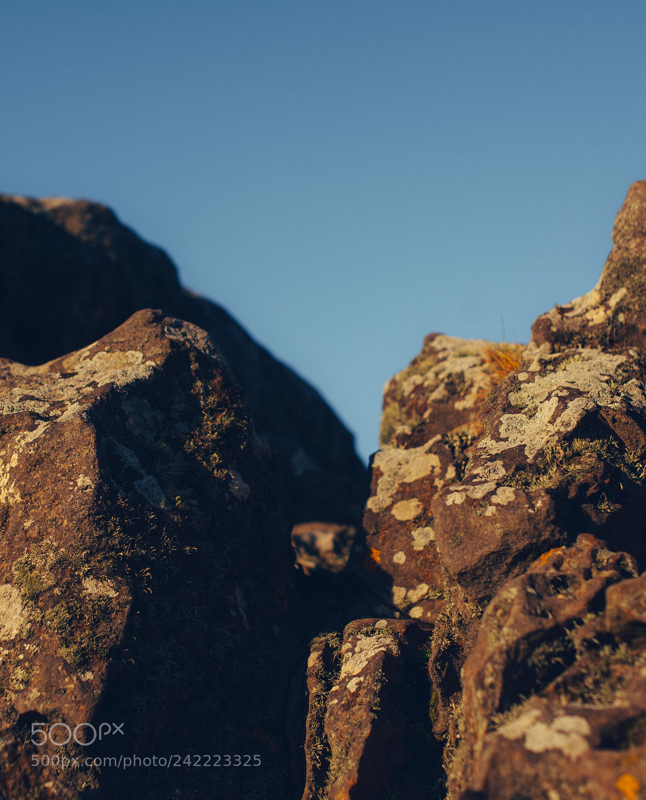 Nikon D600 sample photo. Sun kissed and craggy photography