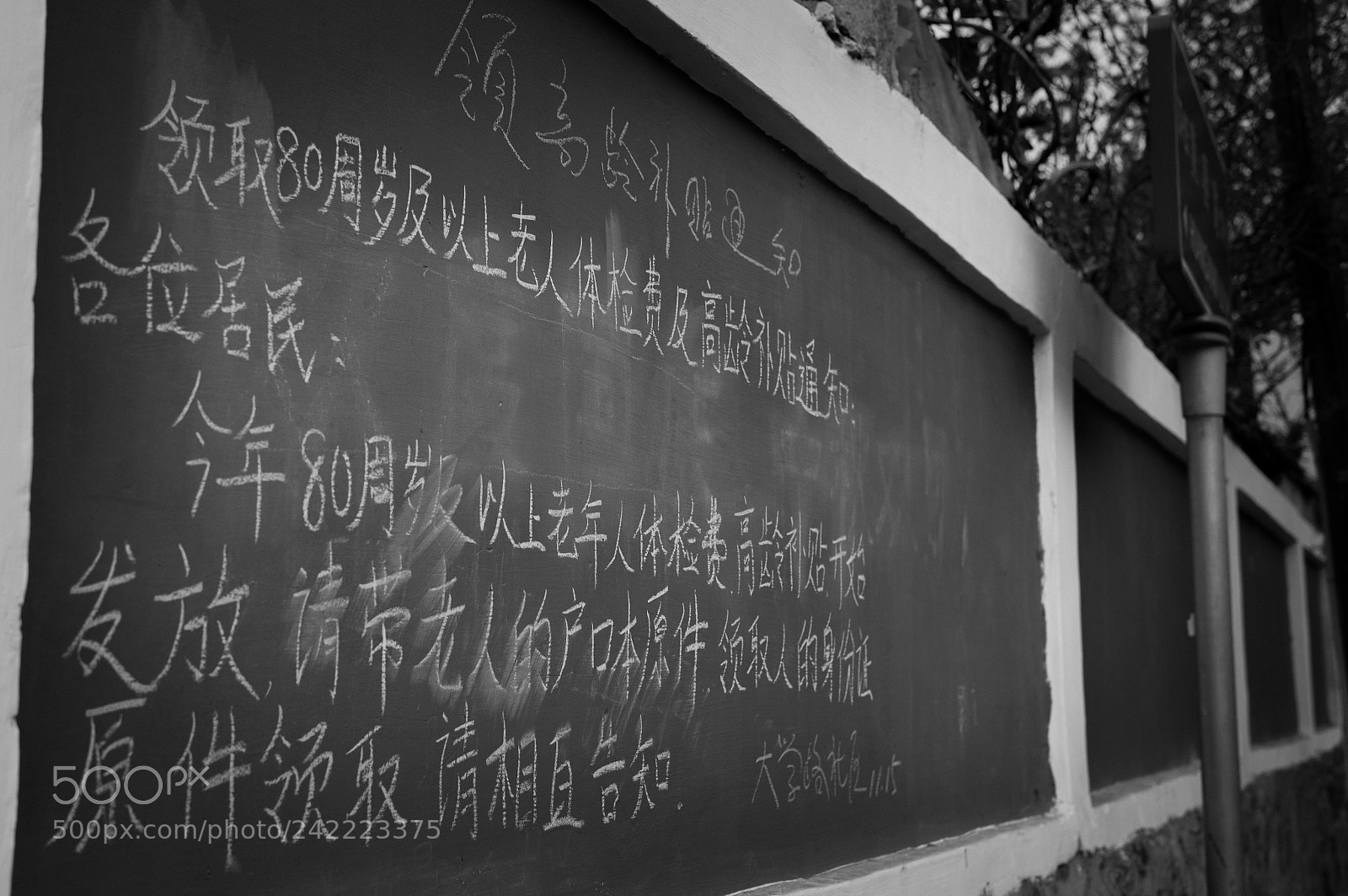 Sony Alpha NEX-5N sample photo. Communityblackborad photography
