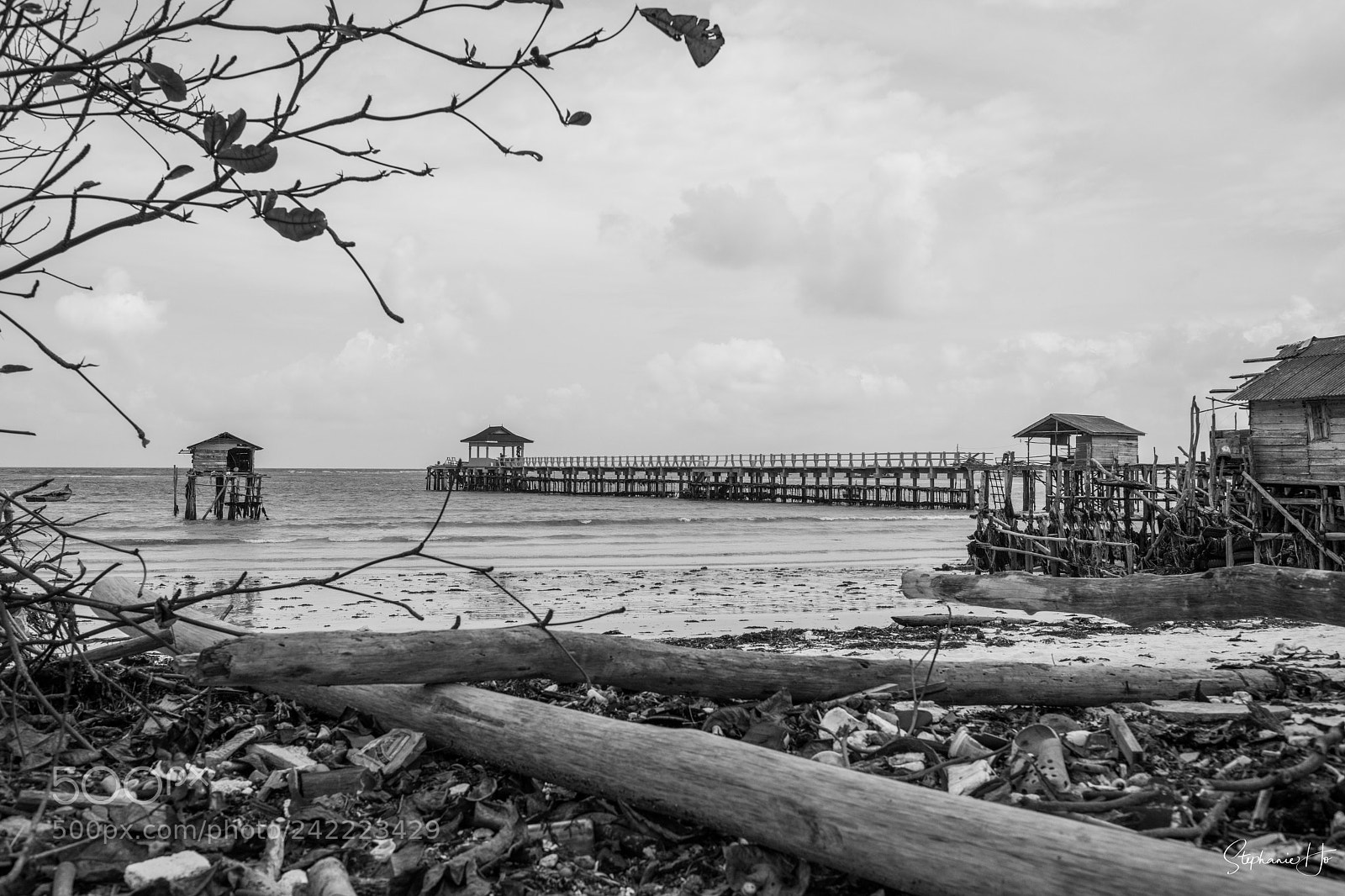 Nikon D850 sample photo. Seaside photography