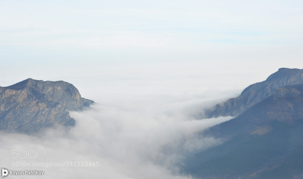 Nikon D7100 sample photo. Fog photography