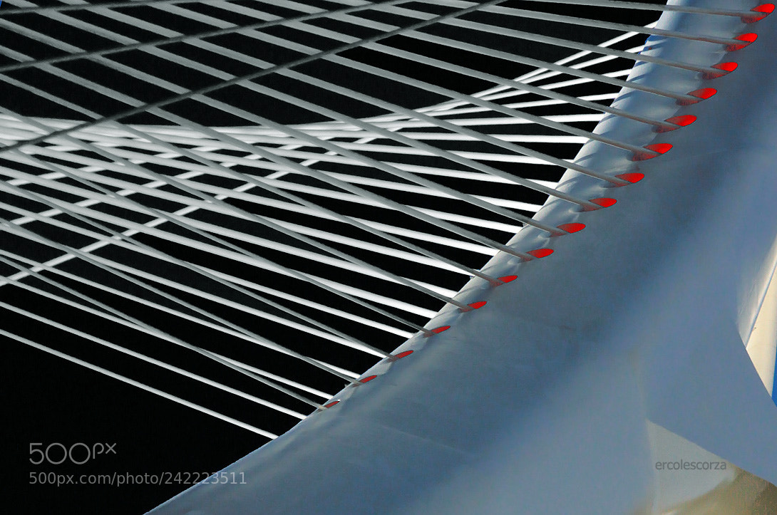 Canon EOS 50D sample photo. Bridge photography