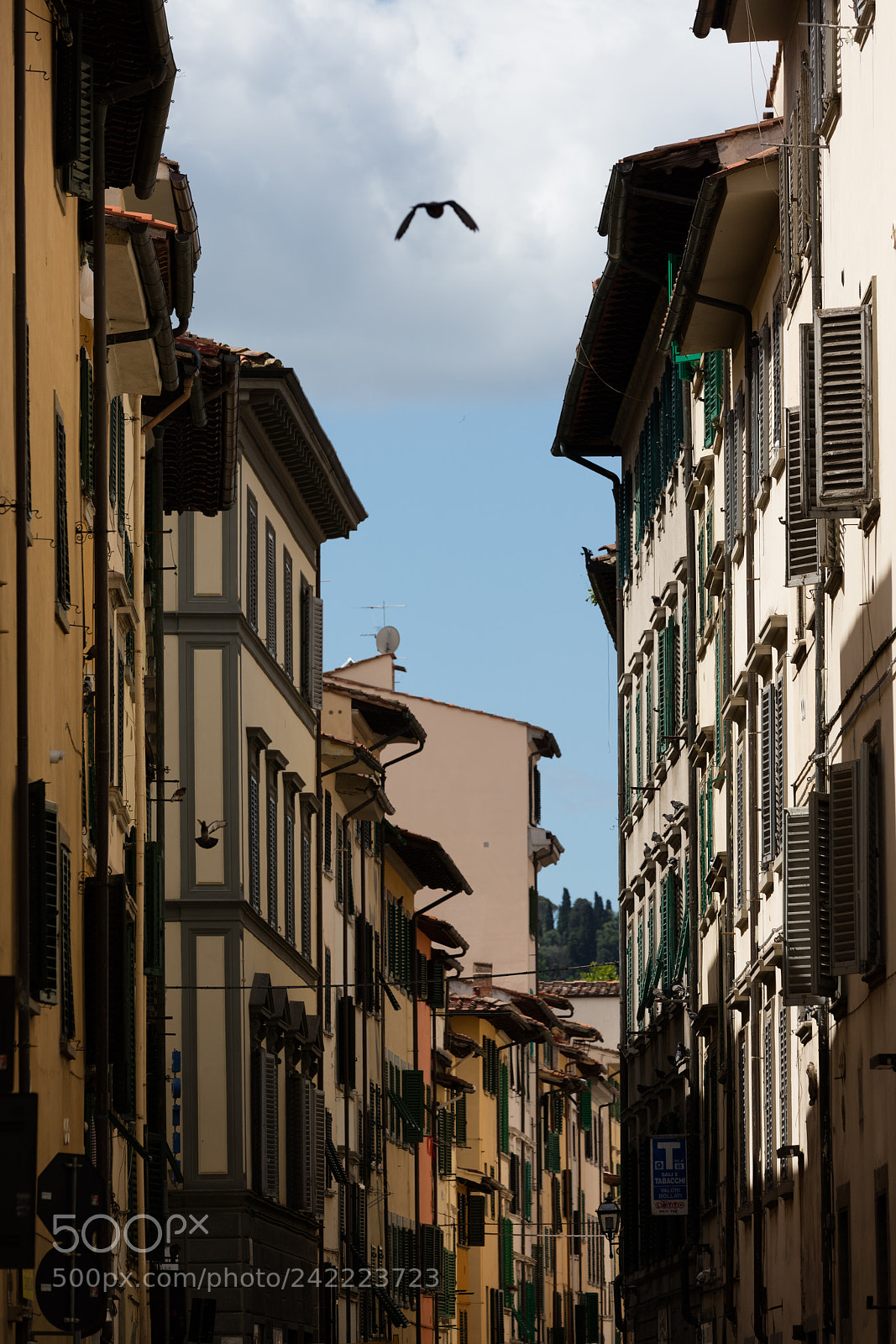 Canon EOS 5DS R sample photo. Florence, historical center photography