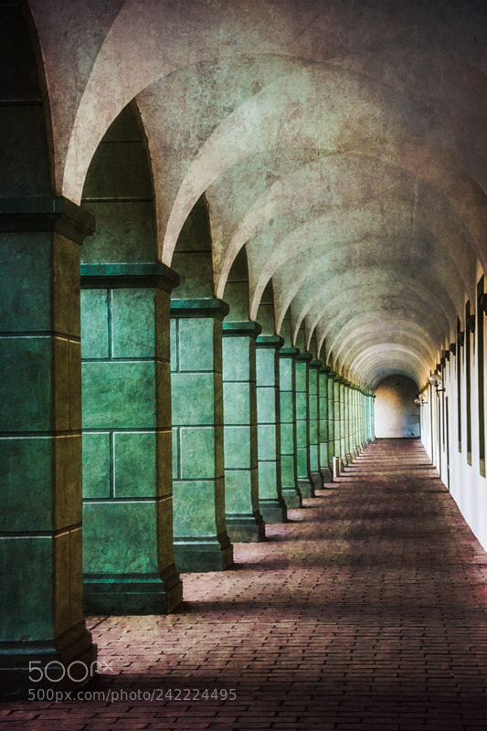 Canon EOS 40D sample photo. The cloister photography