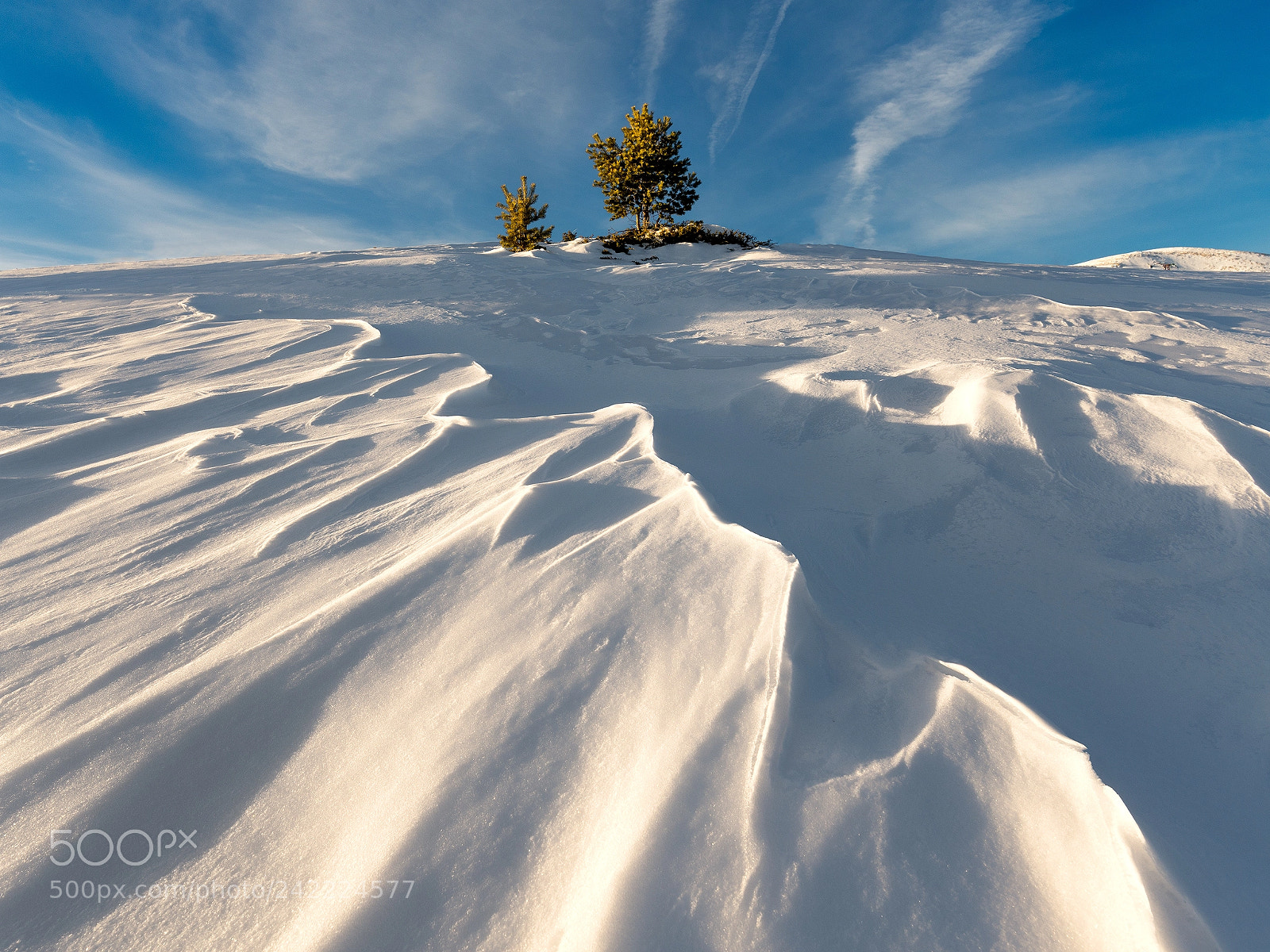 Nikon D600 sample photo. Snow v2 photography