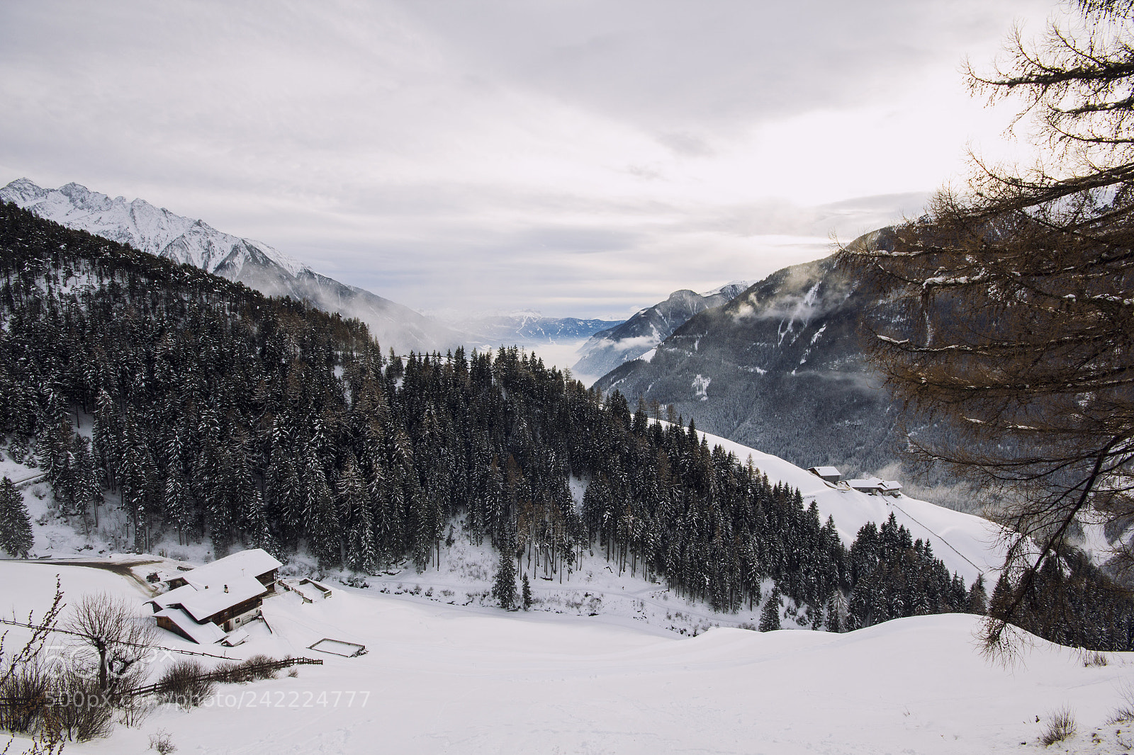 Canon EOS 60D sample photo. Paradise photography