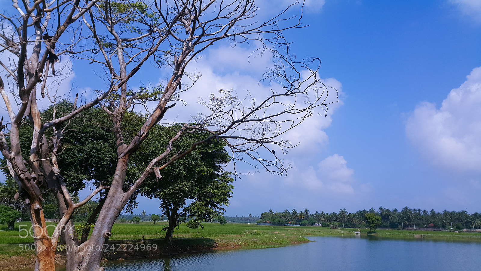 Samsung Galaxy Note4 sample photo. Untitled photography