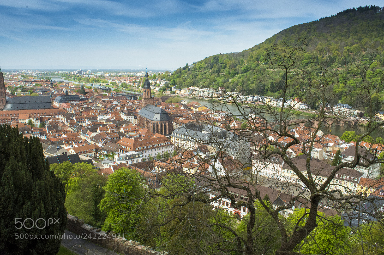 Nikon D7100 sample photo. Heidelberg photography