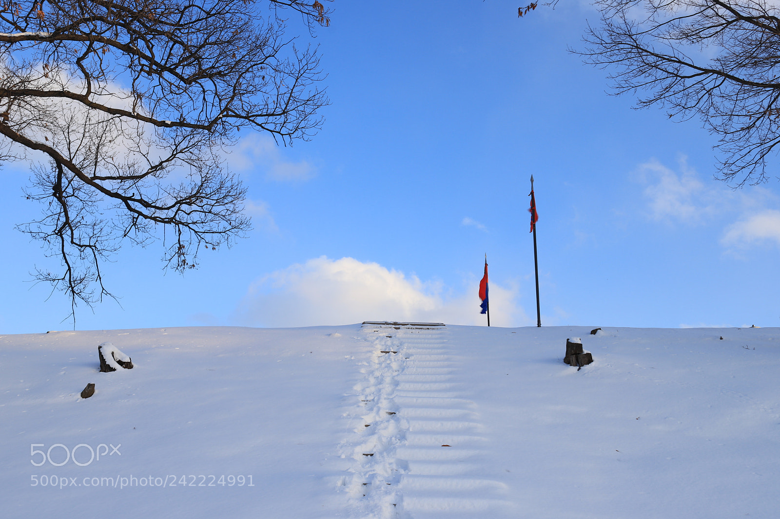 Canon EOS 6D Mark II sample photo. Winter sky photography