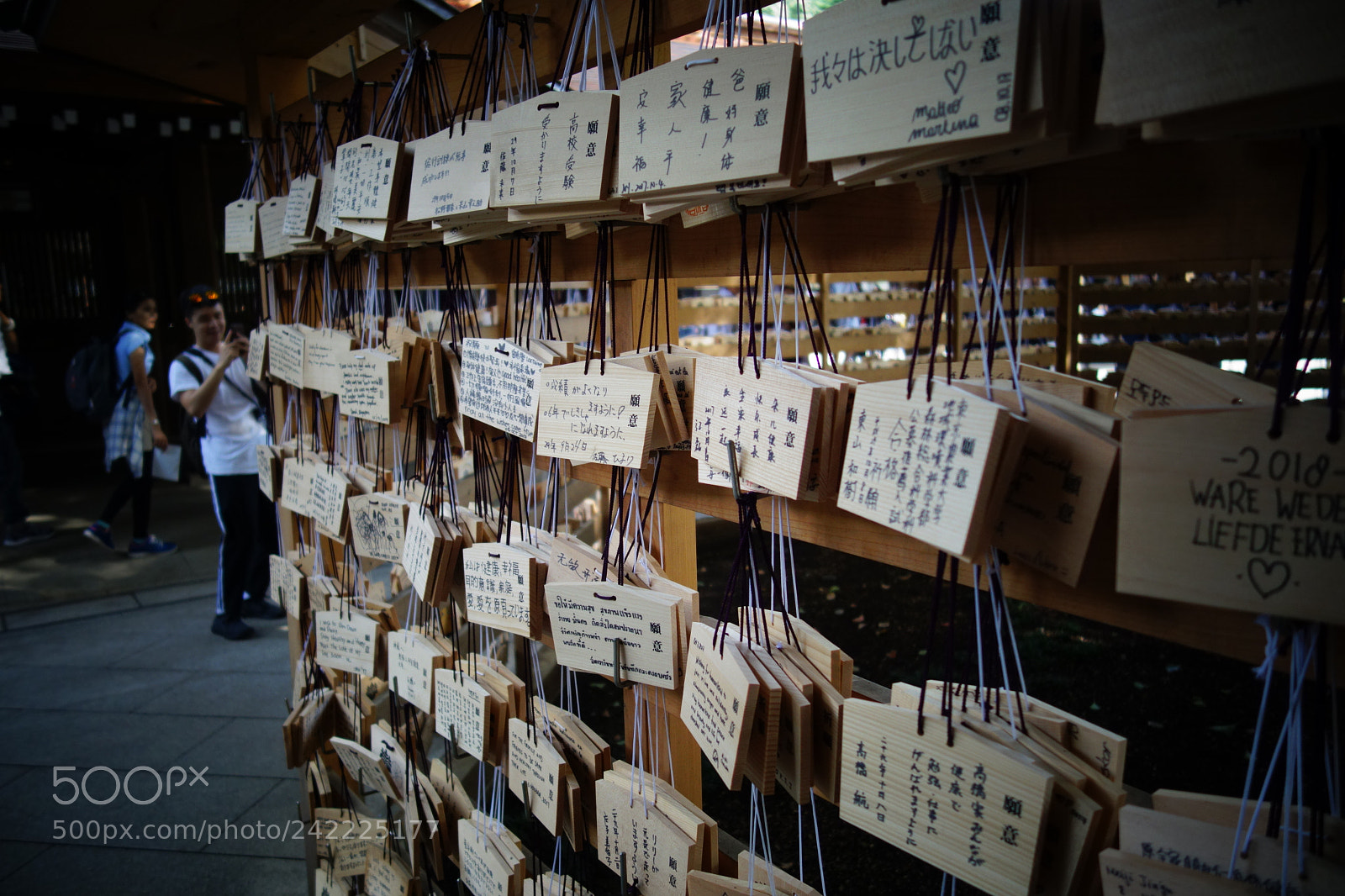 Sony Cyber-shot DSC-RX100 sample photo. Dsc photography