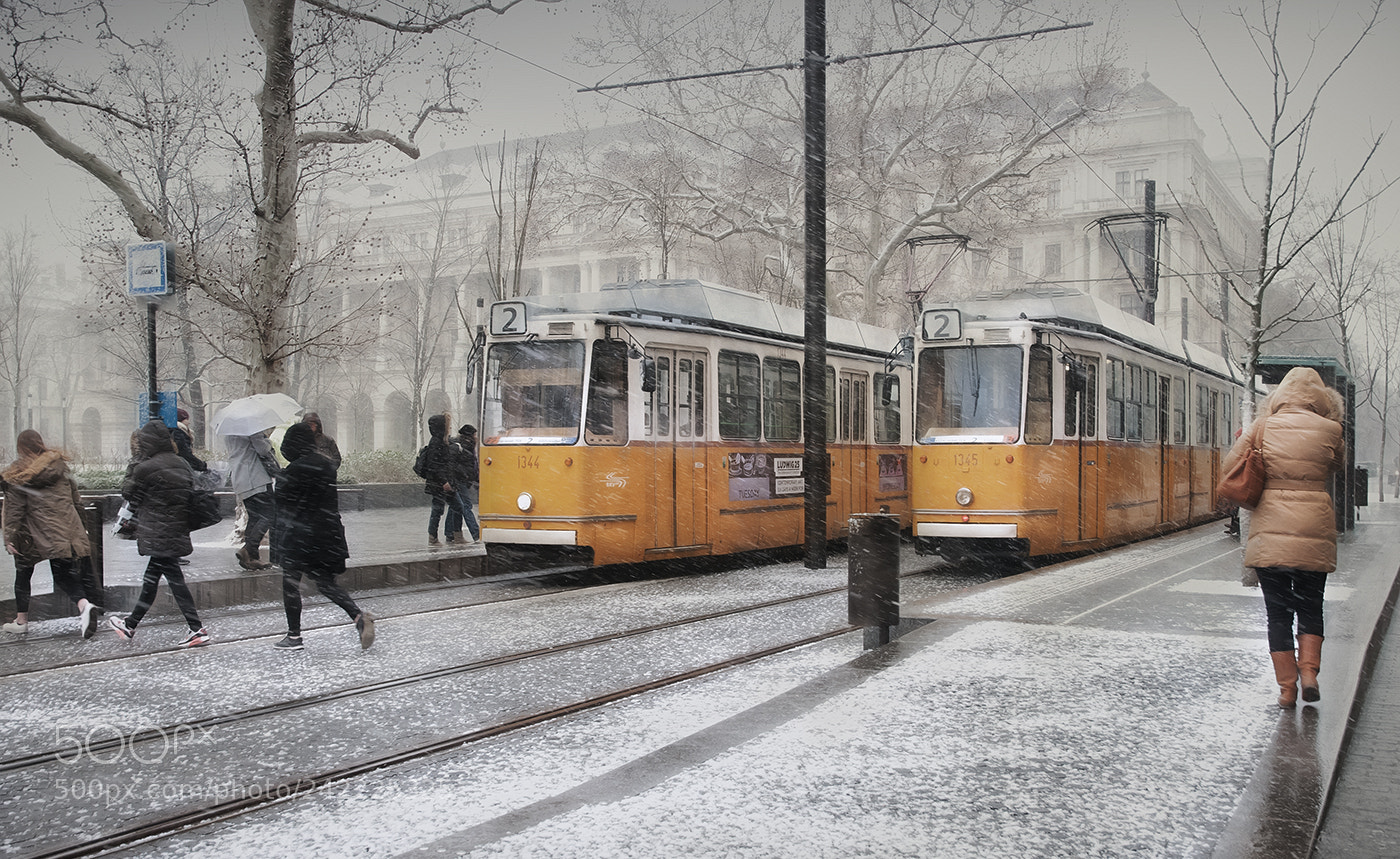 Nikon D300S sample photo. Comienza a nevar en photography