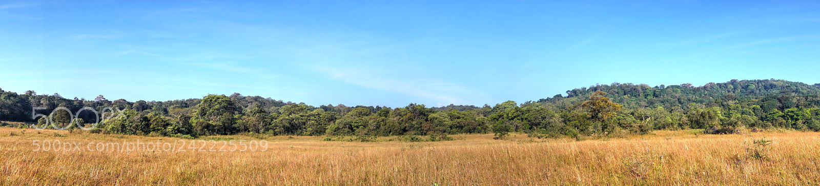 Sony a99 II sample photo. A grassland panorama photography
