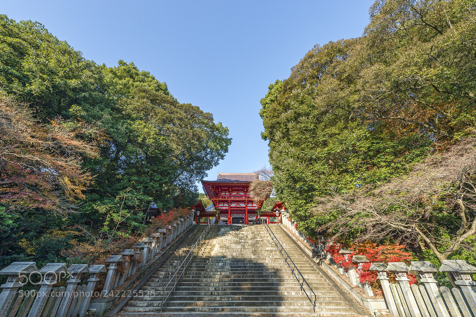 Nikon D4 sample photo. 近江神宮 photography