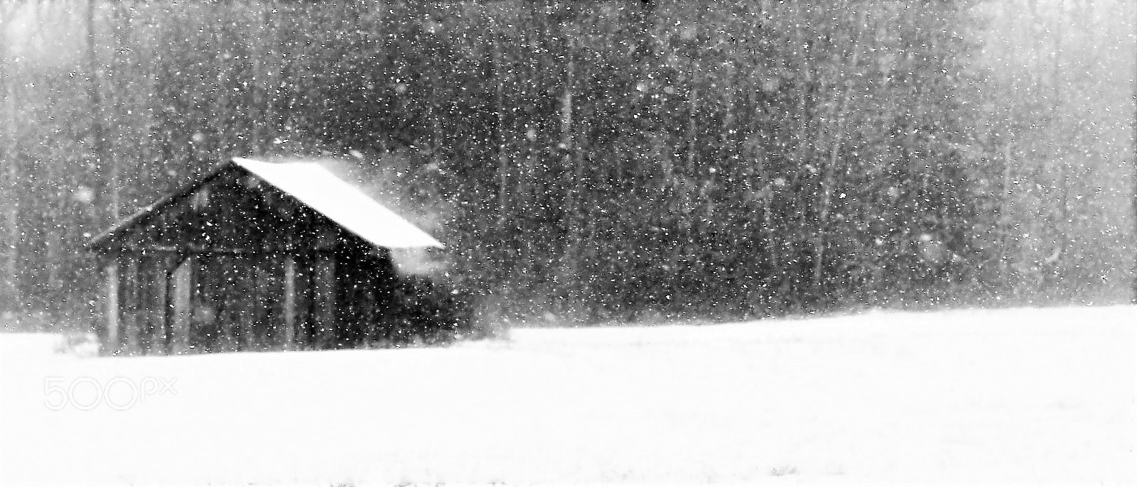 Nikon D500 + Nikon AF-S Nikkor 50mm F1.8G sample photo. The real storm photography