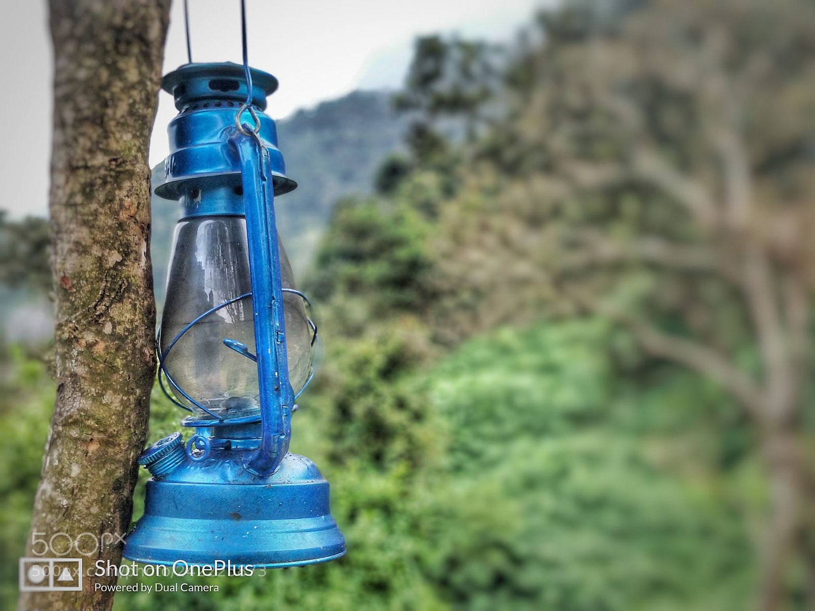 OnePlus 5 sample photo. Lantern photography
