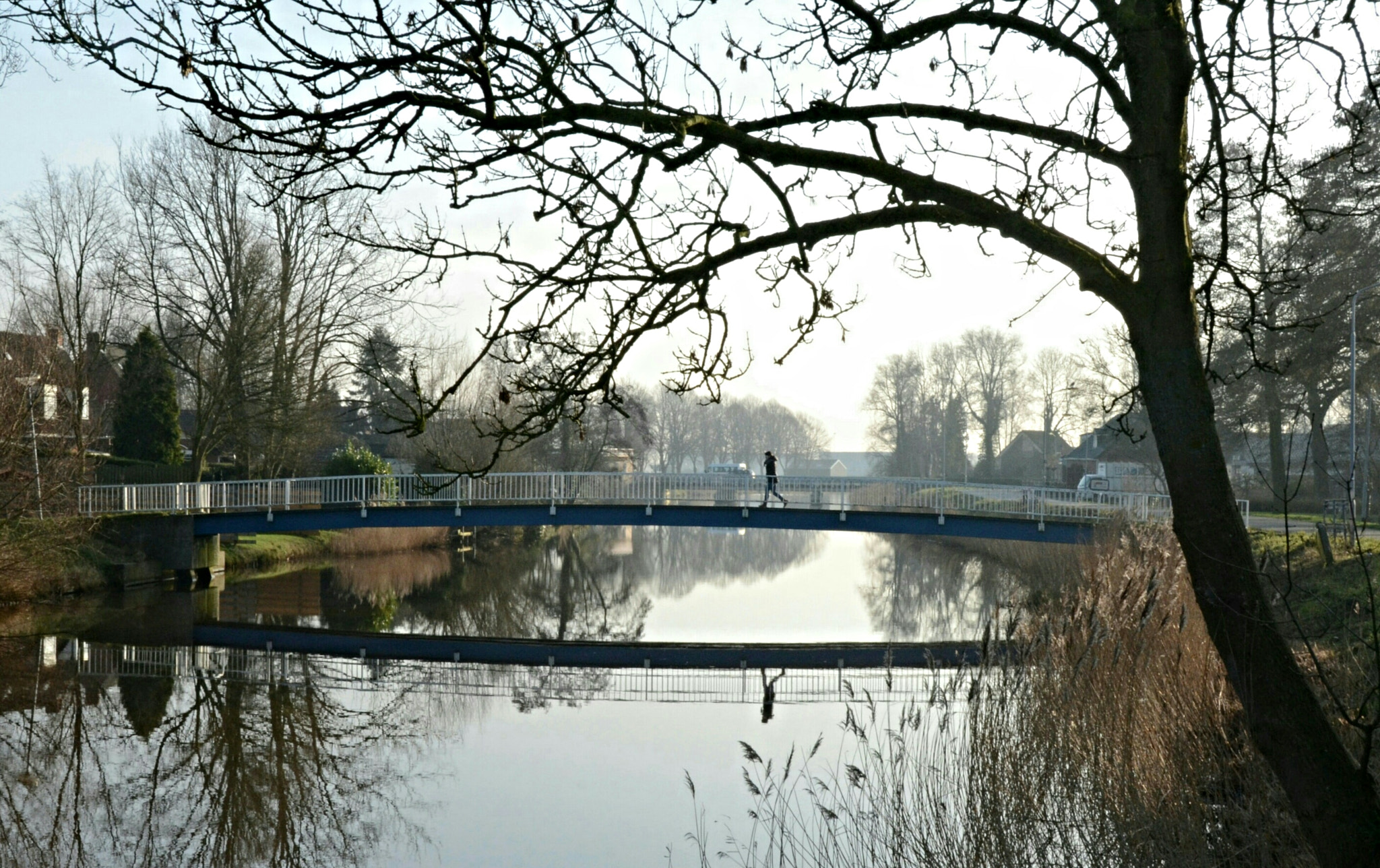 Nikon D3100 sample photo. Reflection photography