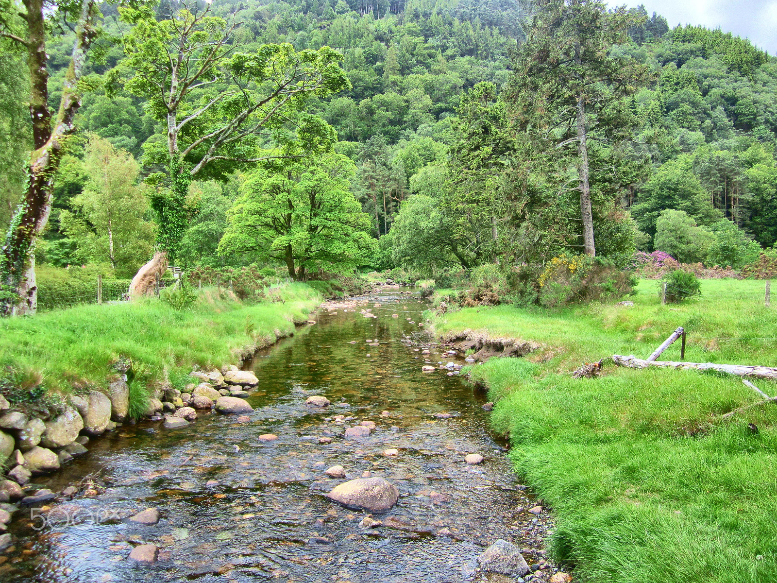 Canon PowerShot ELPH 100 HS (IXUS 115 HS / IXY 210F) sample photo. Glendalough photography