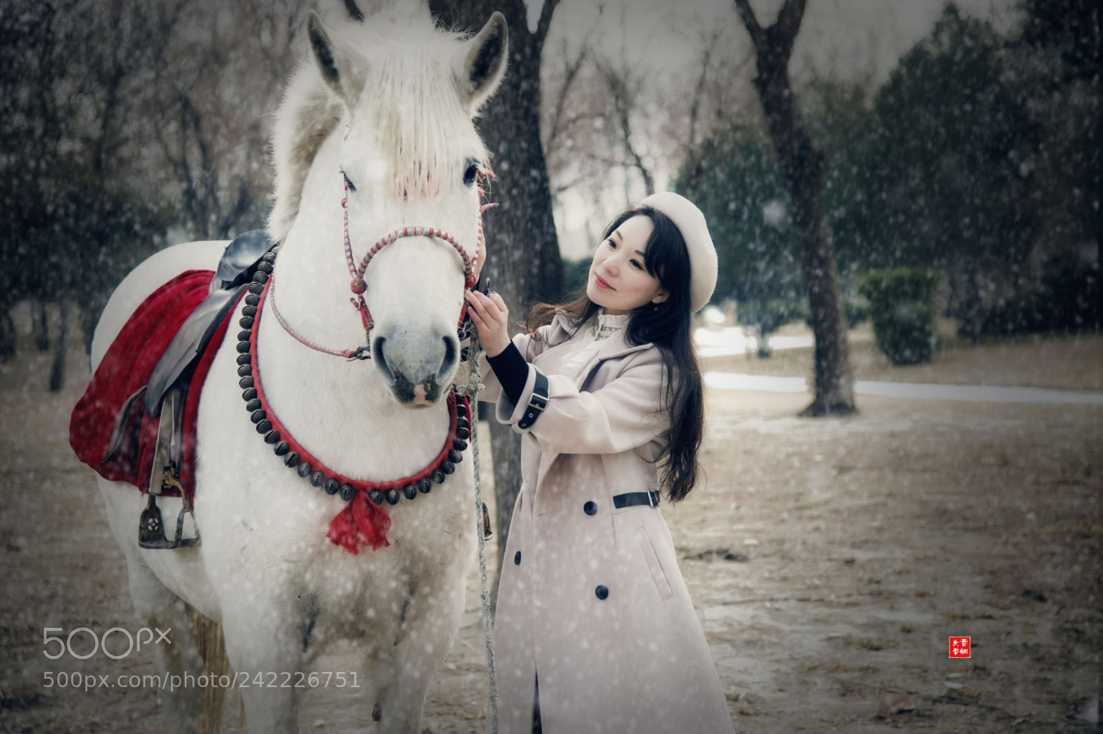 Nikon Df sample photo. Untitled photography