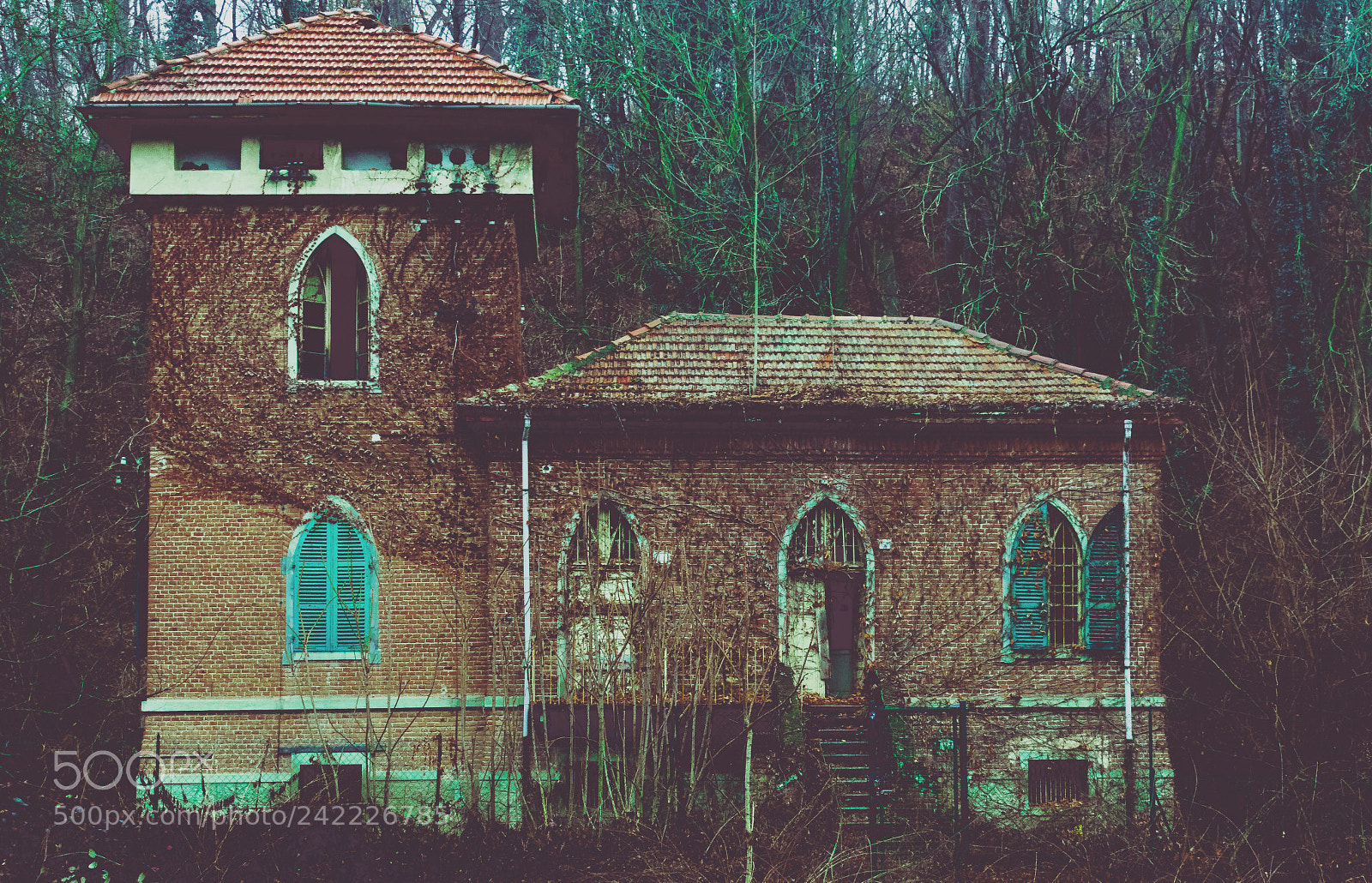 Nikon D3400 sample photo. The house of horrors photography
